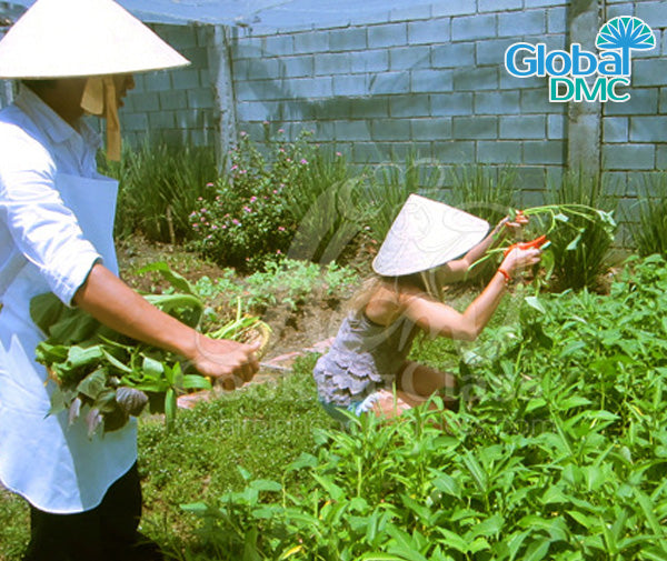 Vietnamese Cooking Class and Cu Chi Tunnels Tour from Saigon