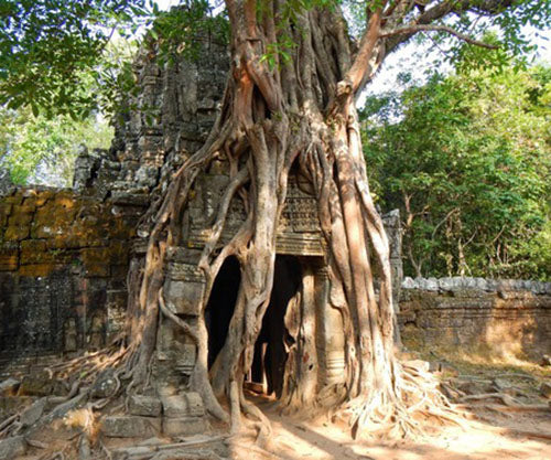 THE TEMPLE OF ANGKOR 2 DAYS 1 NIGHT